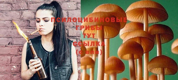гашик Белоозёрский