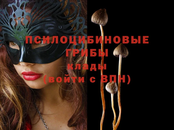 гашишное масло Белокуриха